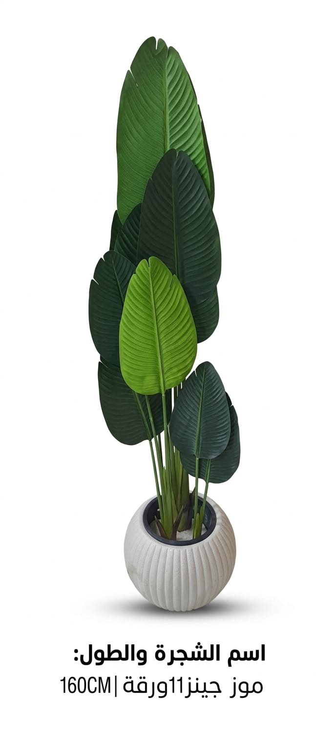 الأشجار والنباتات الفاخرة